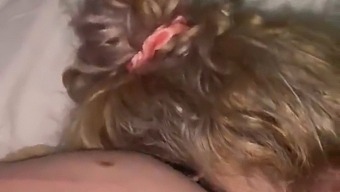 عذرخواهی و انجام سکس دهانی روی آلت تناسلی شریک زندگی